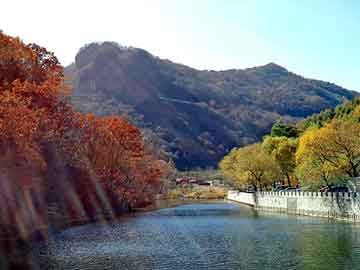 新澳天天开奖资料大全旅游团，功夫神医最新章节